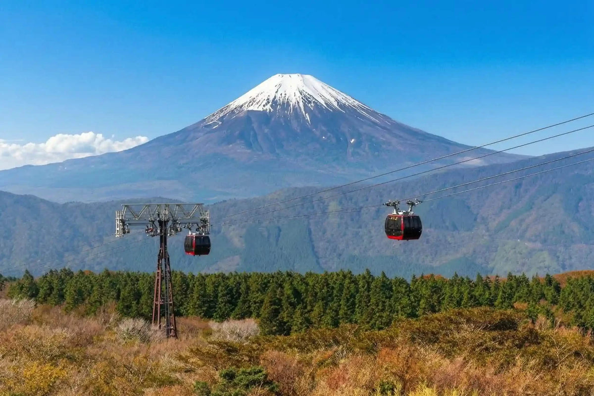 Hakone Ropeway 30minutes (optional)