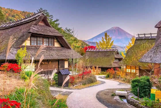 Mt. Fuji Day Tour: Saiko Iyashi-no-Sato, Kawaguchiko & Chureito Pagoda from Tokyo