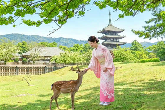 Kyoto & Nara Private Customizable Day Tour