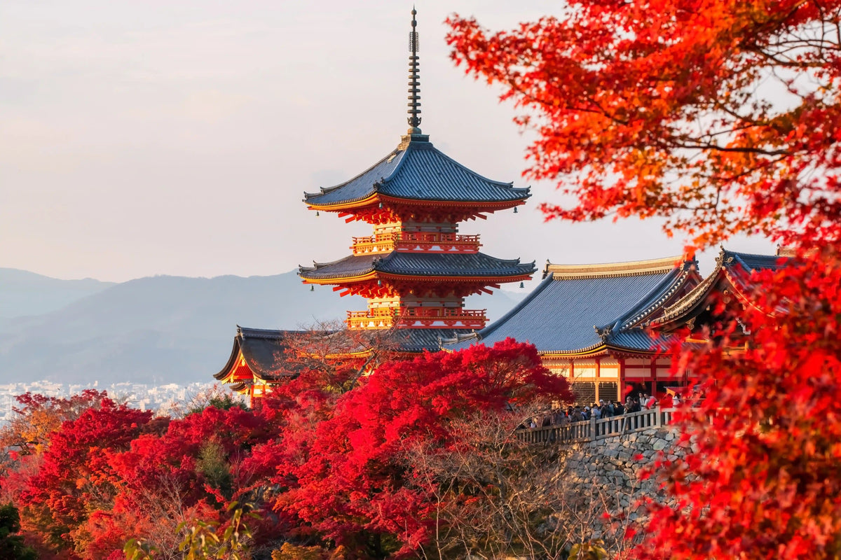 Kyoto Autumn Leaves 2026: Best Spots | Fall Foliage Guide