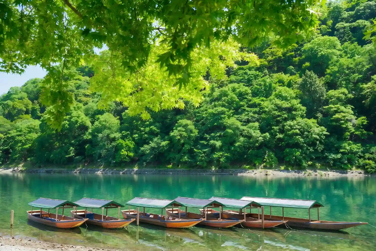 What to Do in Arashiyama Kyoto: A First-Timer’s Guide
