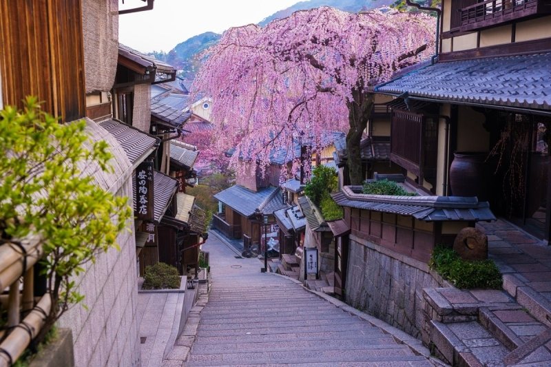 Kyoto Cherry Blossom 2026: Forecast & Best Spots - Keep Good Trip