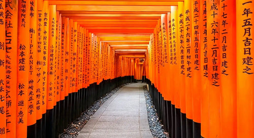 Kyoto 1-Day Itinerary