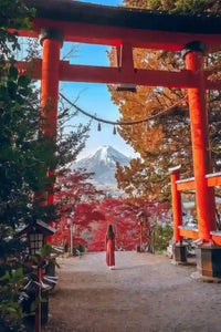 Japan Fall Foliage Forecast 2026: Best Time & Places for Autumn Leaves