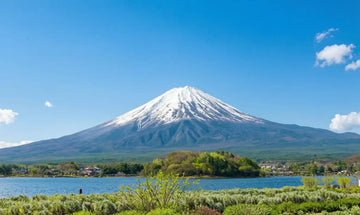 Kawaguchiko Day Trip from Tokyo: 1-Day Itinerary & Mt. Fuji Guide