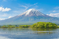 Best Place to See Mt. Fuji: A 1-Day Viewpoint Itinerary