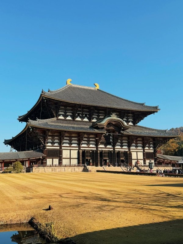 15 Best Things to Do in Nara, Japan - Keep Good Trip