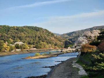 Nara and Uji in One Day: Itinerary from Kyoto or Osaka