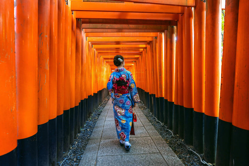 Kyoto 1-Day Itinerary