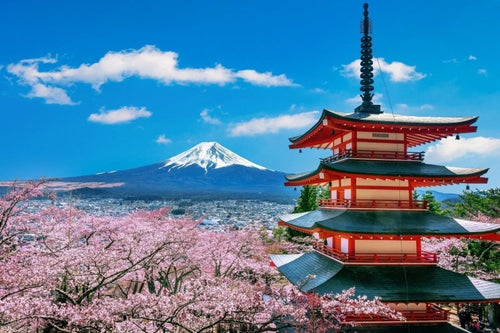 Best Mt Fuji Day Trip from Tokyo (2026 Guide)