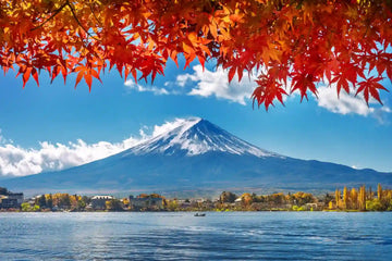 Mt Fuji Autumn Leaves 2026: Peak Foliage & Festival Guide