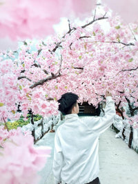The Ultimate Japan Cherry Blossoms Guide to Full Bloom - Keep Good Trip