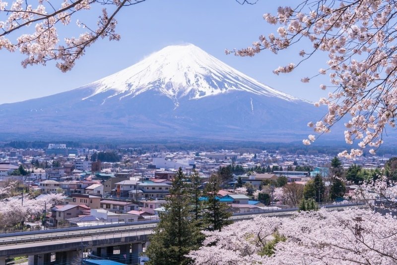 Mt Fuji Cherry Blossom 2026: When & Where to See Sakura - Keep Good Trip