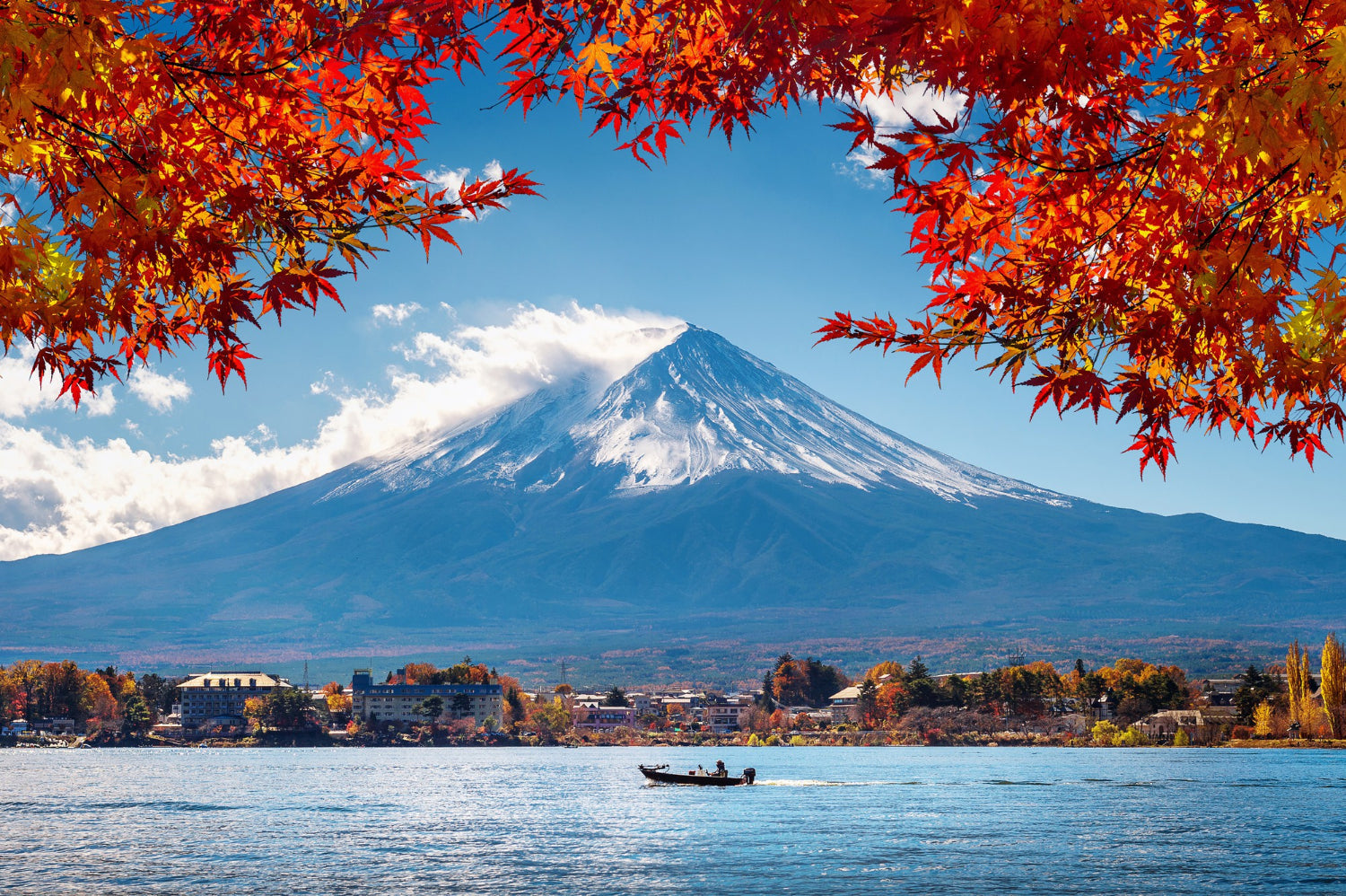 Fall Foliage