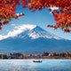 Fall Foliage