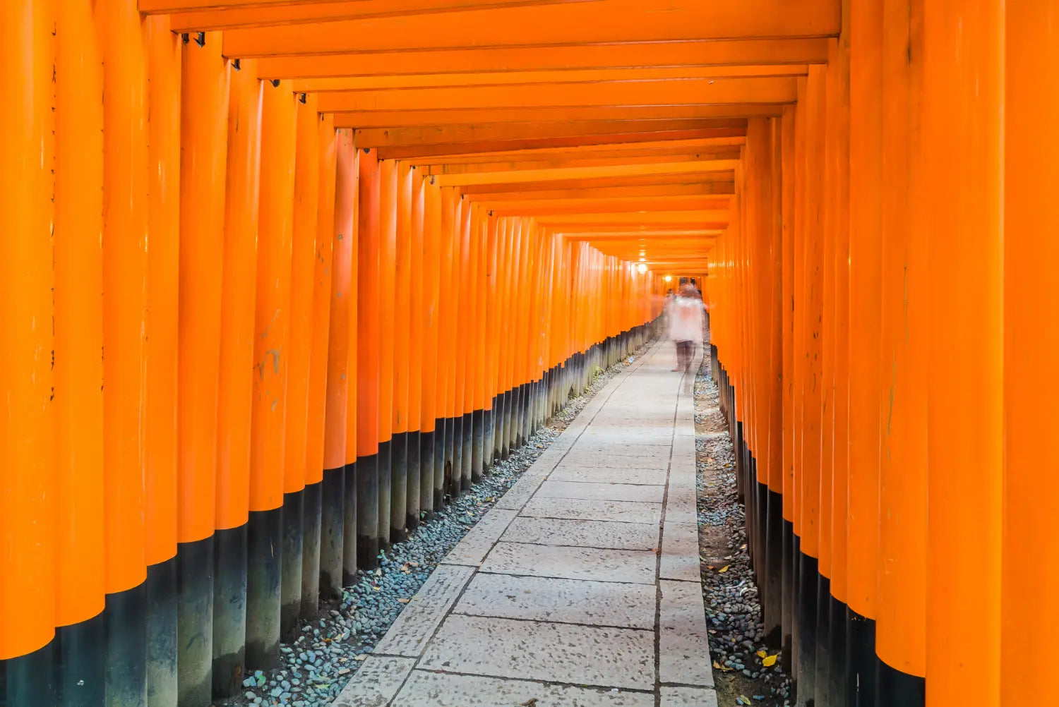 Fushimi Inari tour