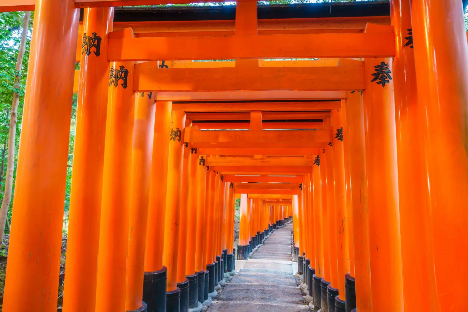 Popular Landmarks - Keep Good Trip