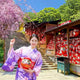 Cherry Blossom
