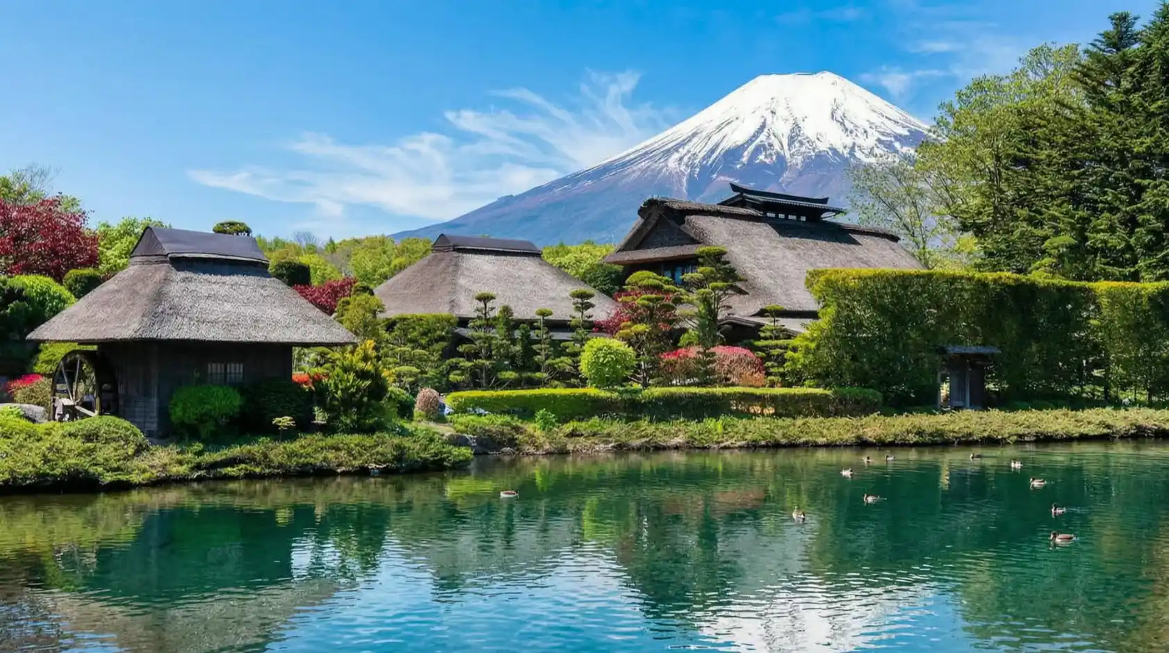 Japan Sightseeing Tours - Keep Good Trip