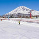 Winter Scenery