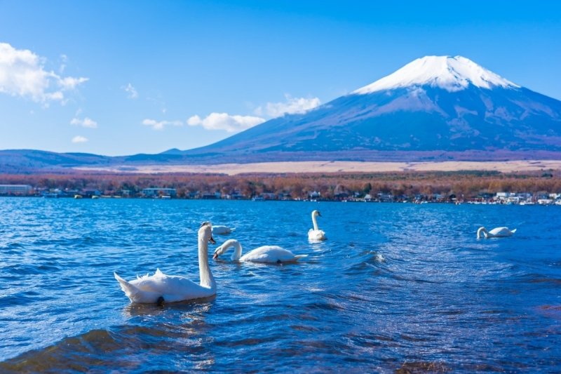 Lake Yamanaka - Keep Good Trip