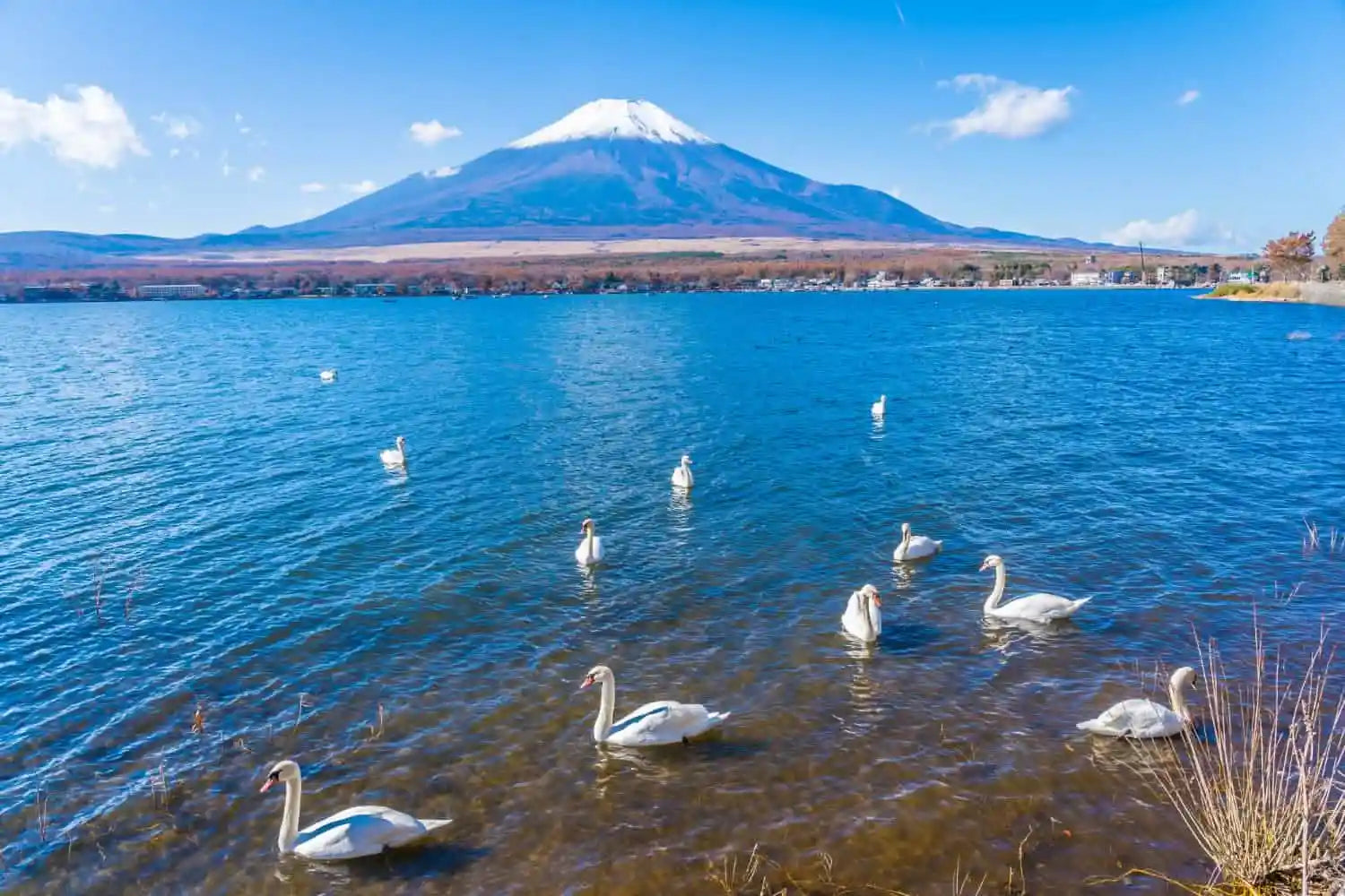 Lake Kawaguchi - Keep Good Trip