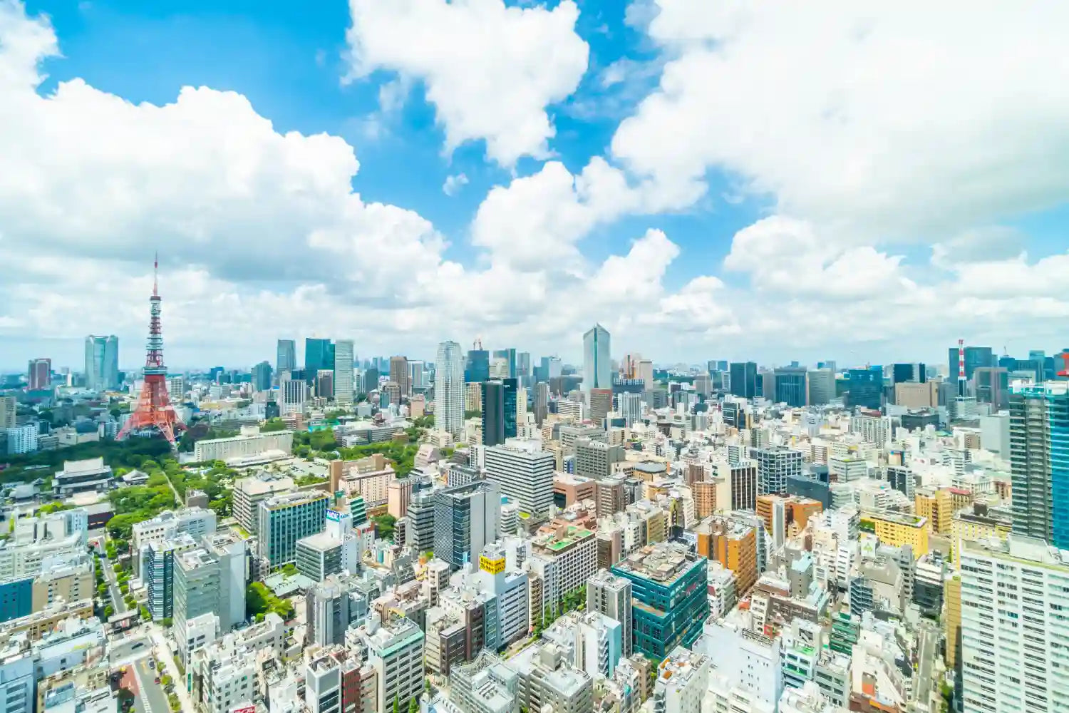 Tokyo Day Tours - Keep Good Trip
