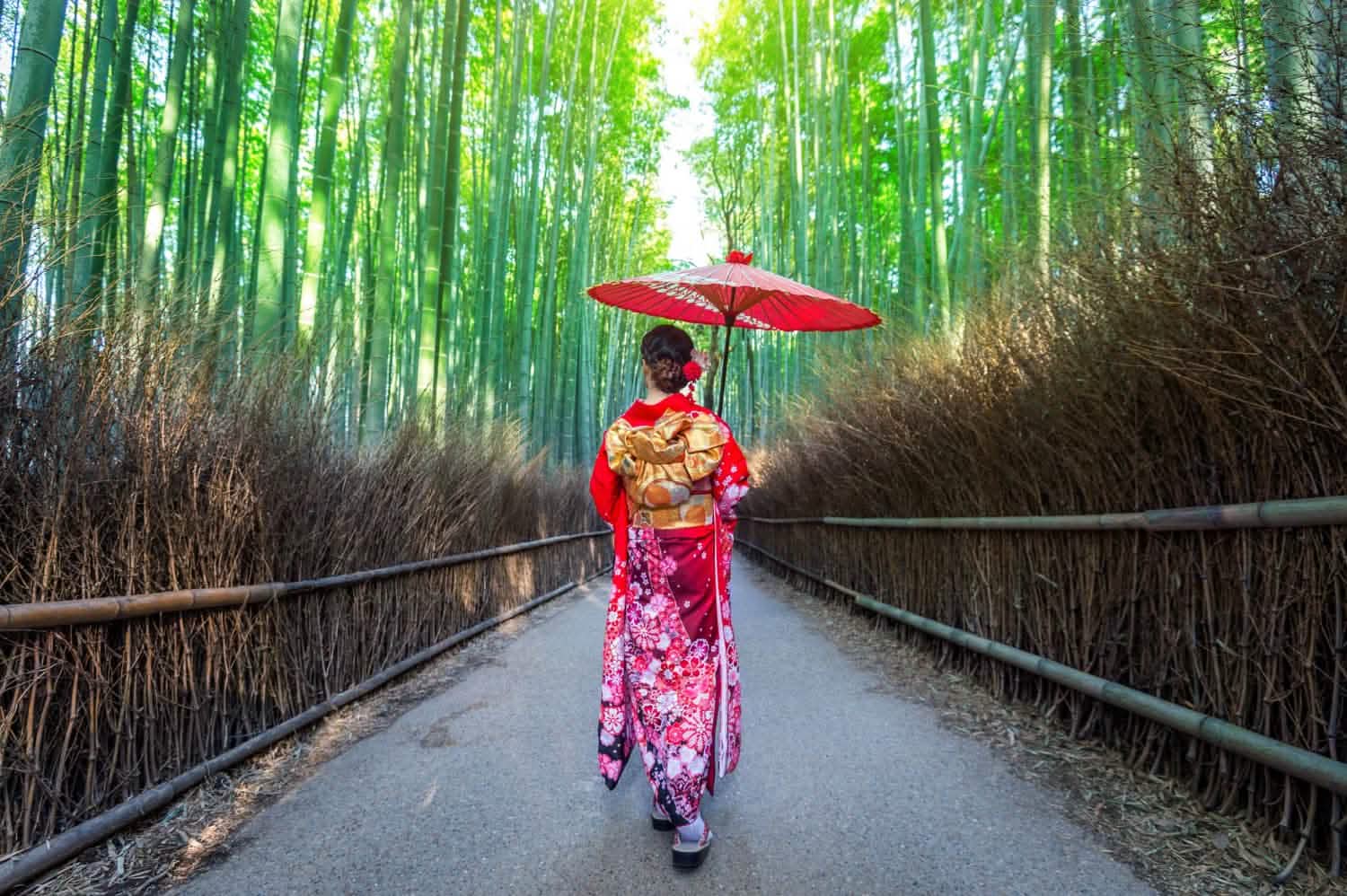 Arashiyama Bamboo Forest - Keep Good Trip