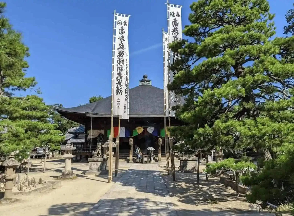 Private Amanohashidate, Ine Funaya & Ine Bay Tour from Kyoto/Osaka