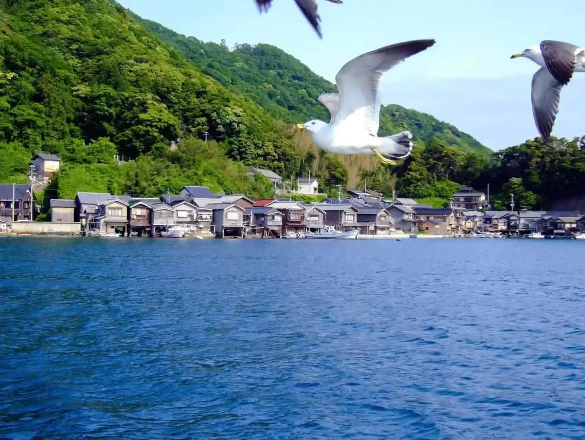 Private Amanohashidate, Ine Funaya & Miyama Tour from Kyoto/Osaka