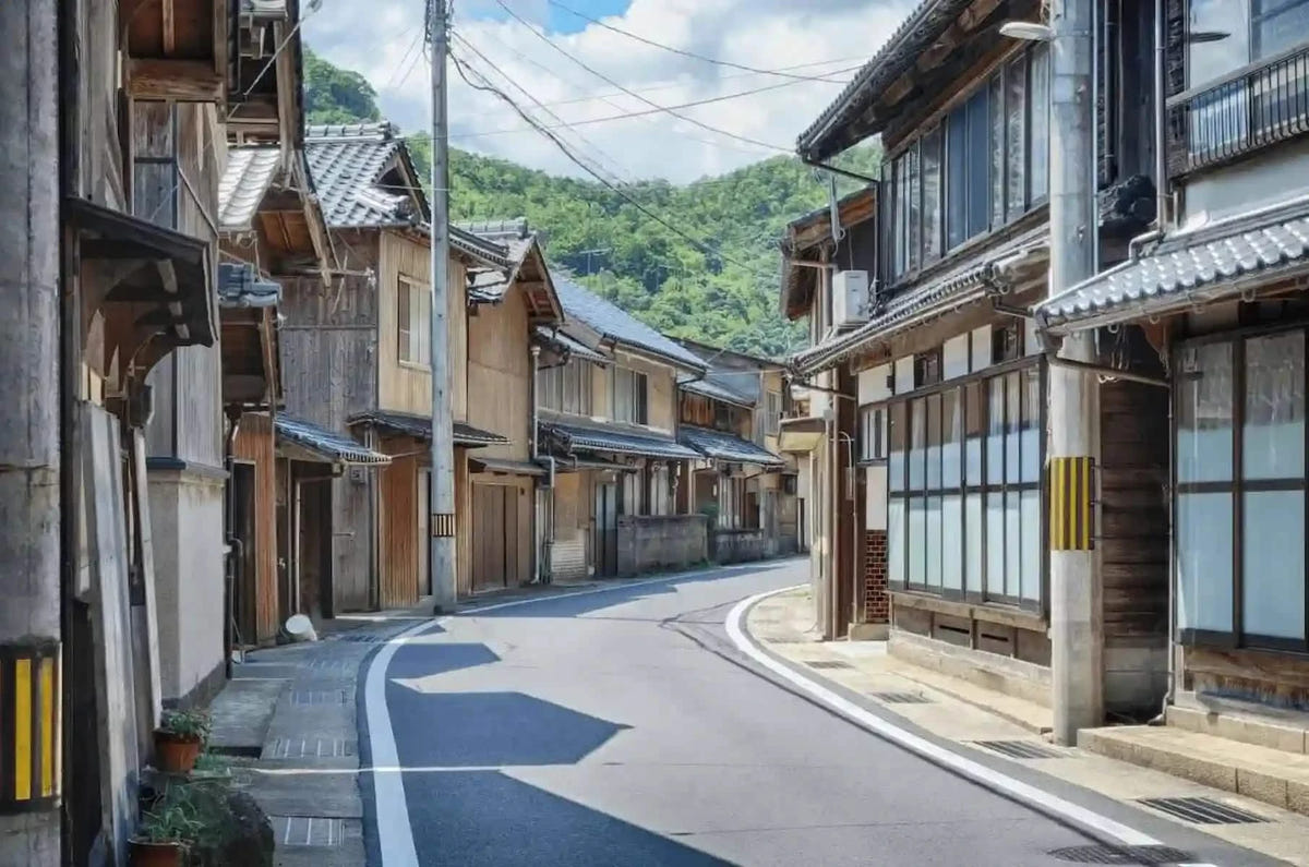 Private Amanohashidate, Ine Funaya & Miyama Tour from Kyoto/Osaka