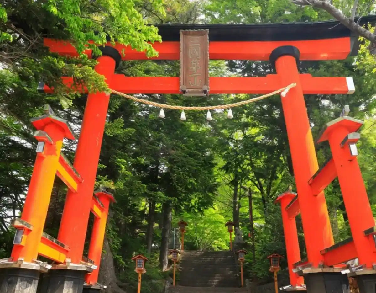 Private Mt. Fuji Day Tour: Chureito Pagoda, Kawaguchiko & Oshino Hakkai from Tokyo