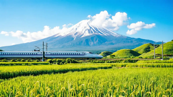 Authentic Private Japan Tours