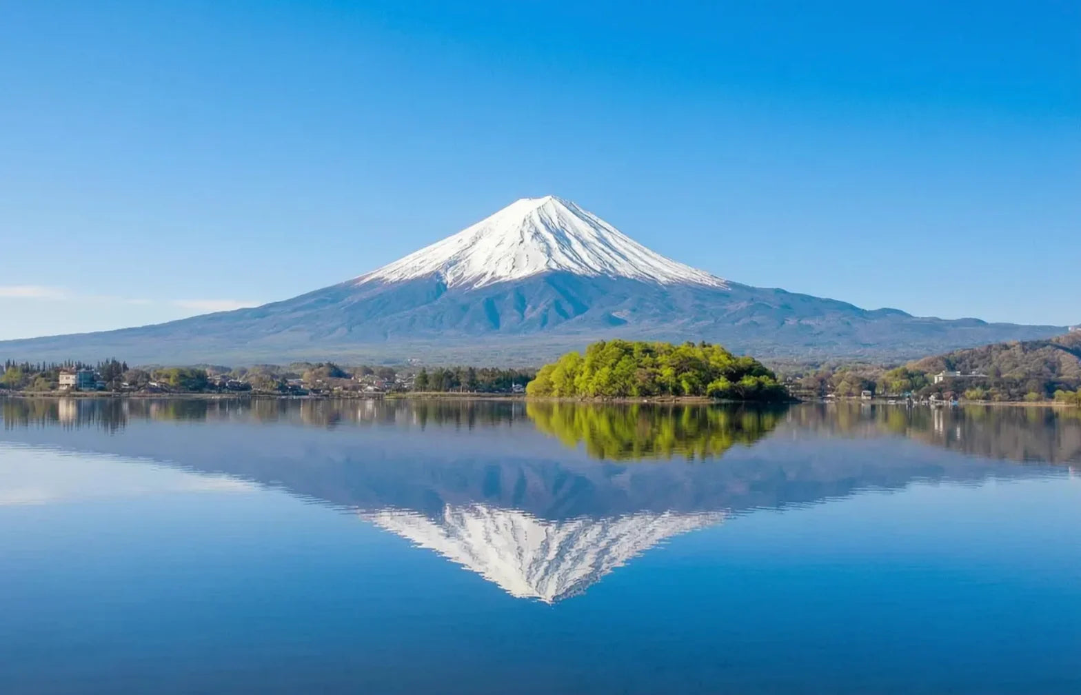 Book Authentic Japan Experiences