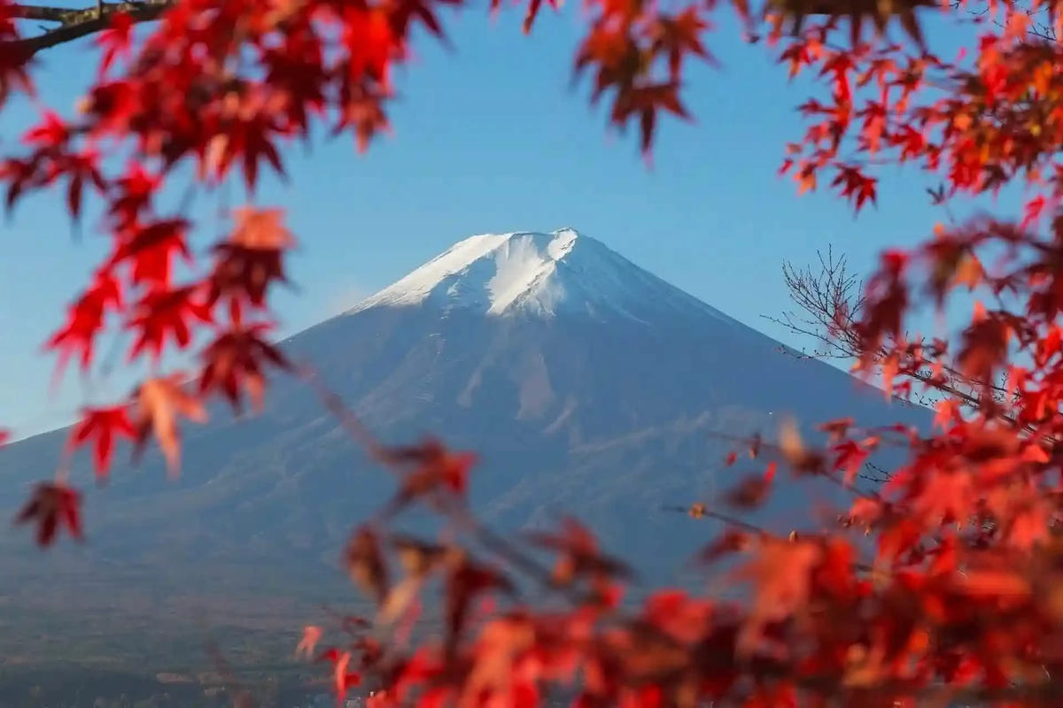 Private Mt Fuji Day Tour: Chureito Pagoda, Oshino Hakkai & Yamanaka from Tokyo