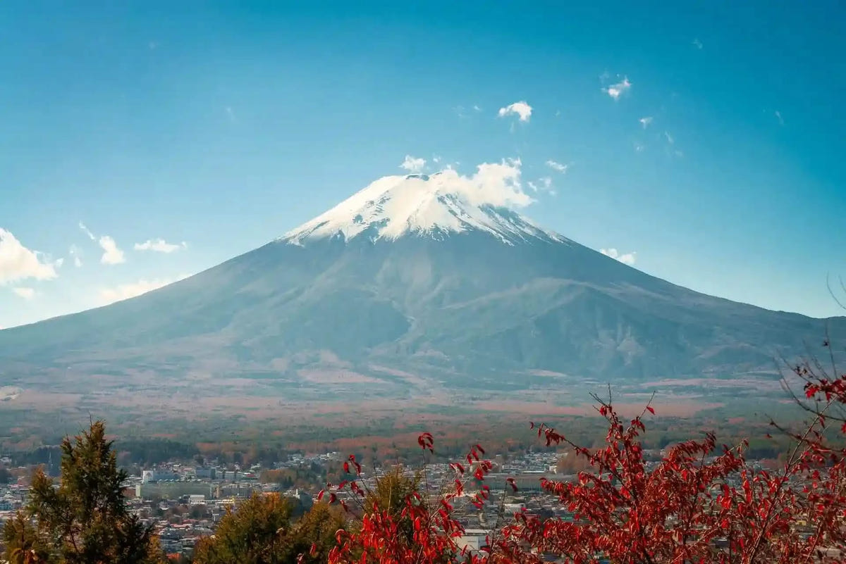Private Mt Fuji Day Tour: Chureito Pagoda, Oshino Hakkai & Yamanaka from Tokyo