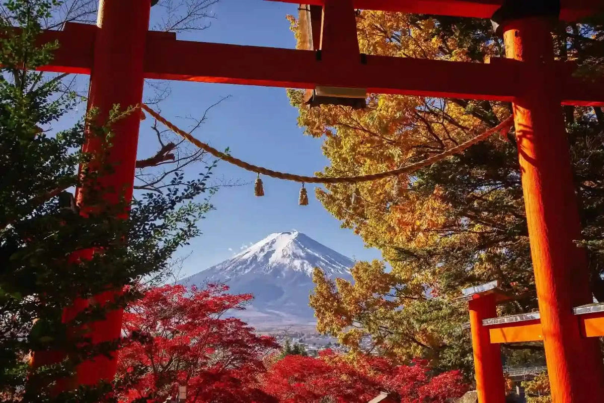 Private Mt Fuji Day Tour: Chureito Pagoda, Oshino Hakkai & Yamanaka from Tokyo