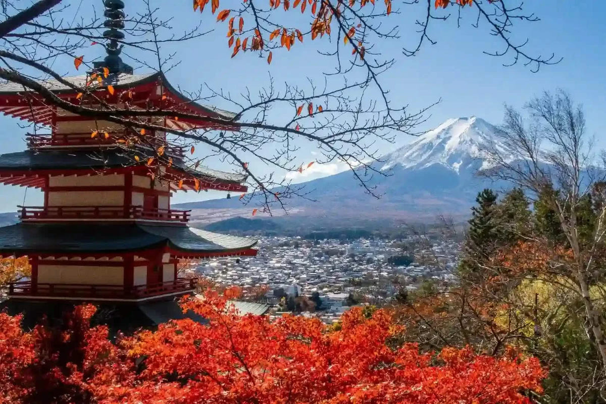 Private Mt Fuji Day Tour: Chureito Pagoda, Oshino Hakkai & Yamanaka from Tokyo