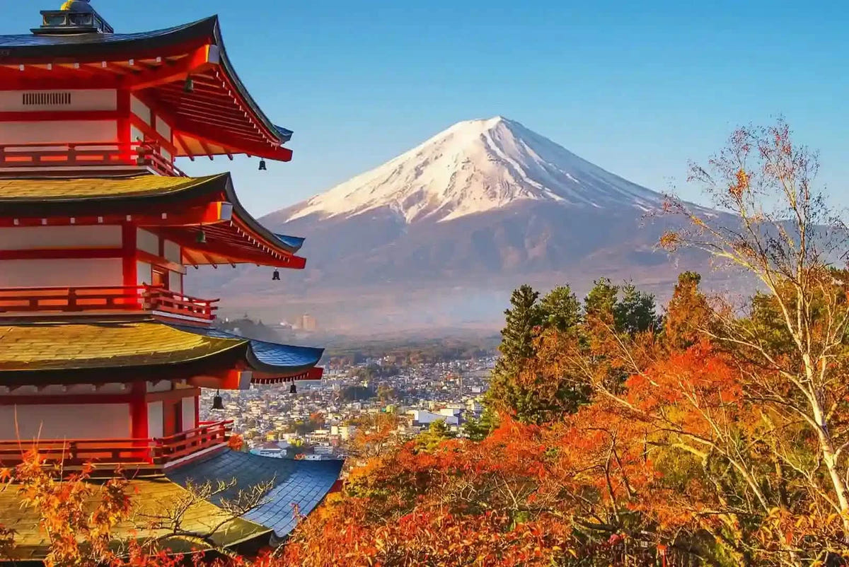 Private Mt Fuji Day Tour: Chureito Pagoda, Oshino Hakkai & Yamanaka from Tokyo
