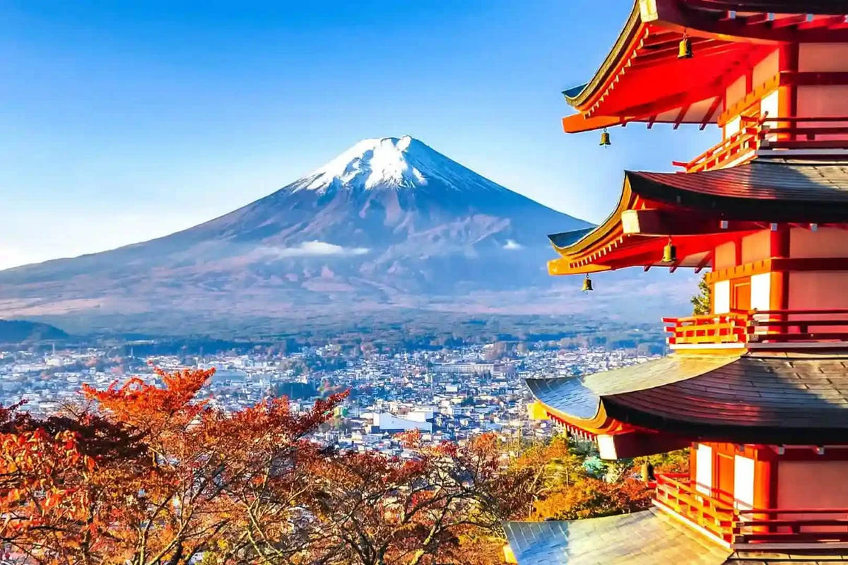 Private Mt Fuji Day Tour: Chureito Pagoda, Oshino Hakkai & Yamanaka from Tokyo