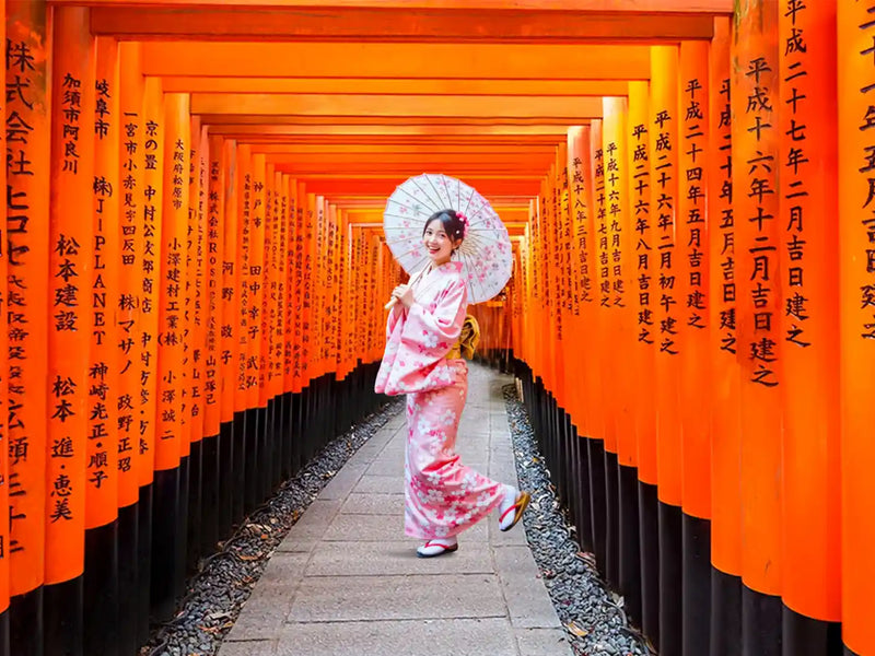 Private Tour Arashiyama Sagano Train, Nara Park, Fushimi Inari Taisha Tour from Osaka