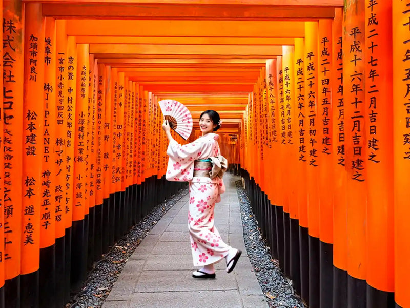 Fushimi Inari Taisha, Arashiyama, Nara from Osaka Hotel Pickup