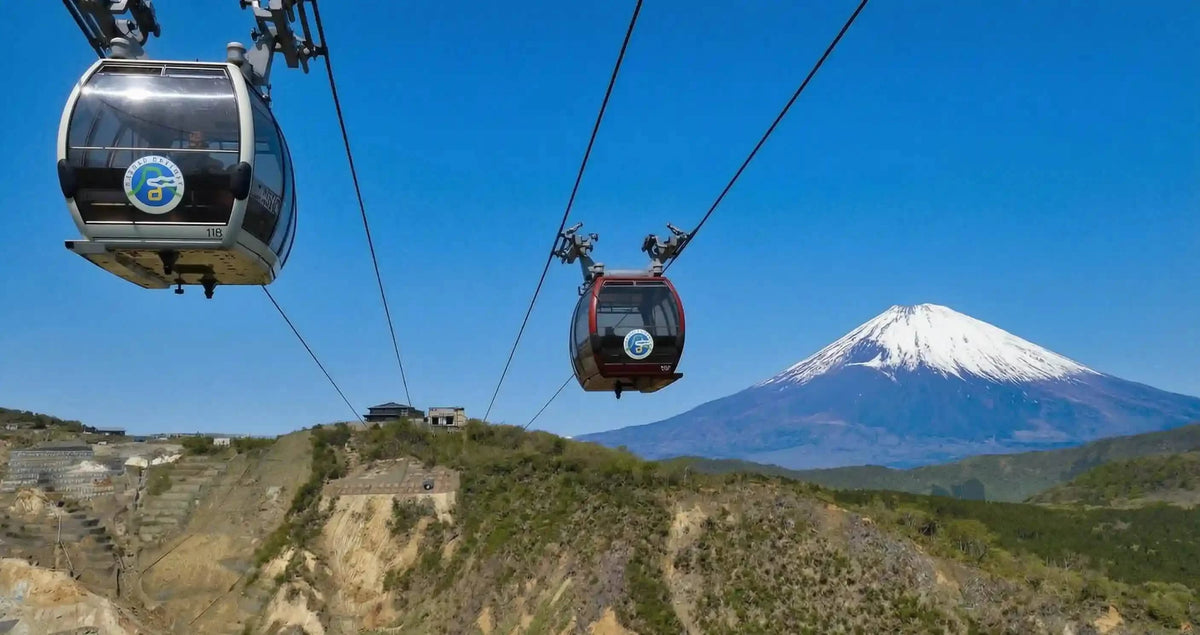 Hakone & Mt Fuji Day Tour: Lake Ashi, Owakudani & Chureito Pagoda from Tokyo