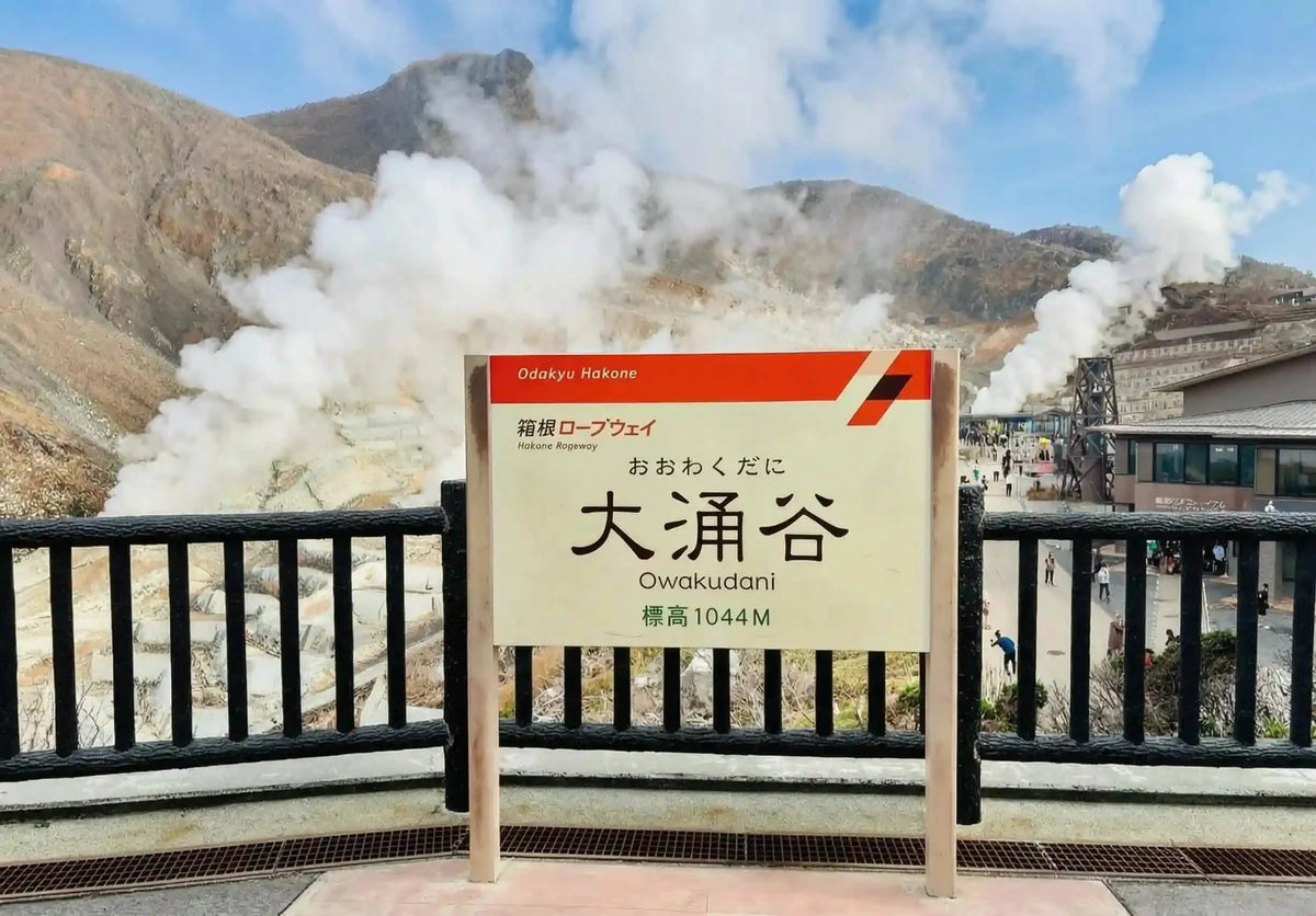 Hakone & Mt Fuji Day Tour: Lake Ashi, Owakudani & Chureito Pagoda from Tokyo