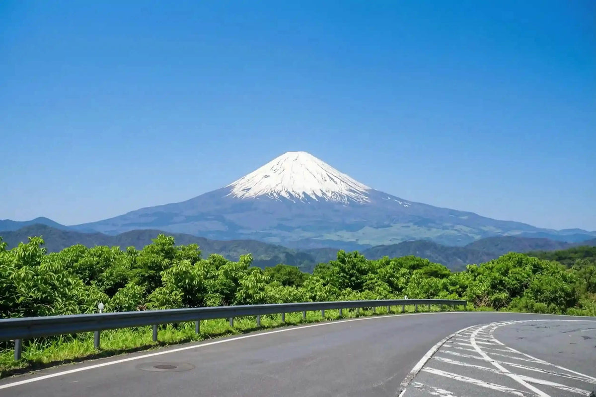 Hakone & Mt Fuji Day Tour: Lake Ashi, Owakudani & Chureito Pagoda from Tokyo