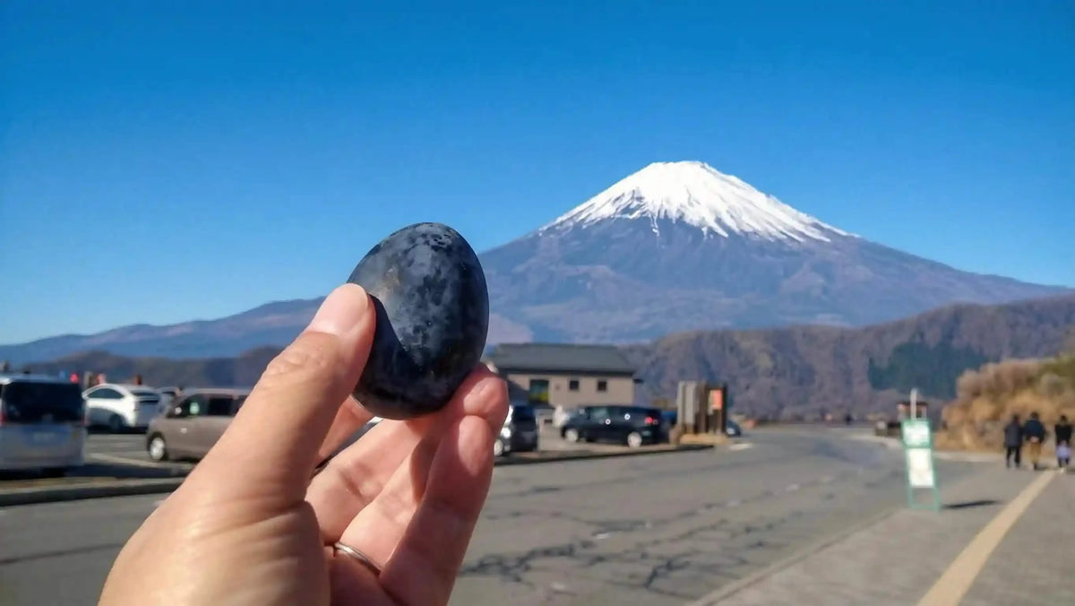 Private Hakone & Mt. Fuji Tour: Lake Ashi, Owakudani & Chureito Pagoda from Tokyo