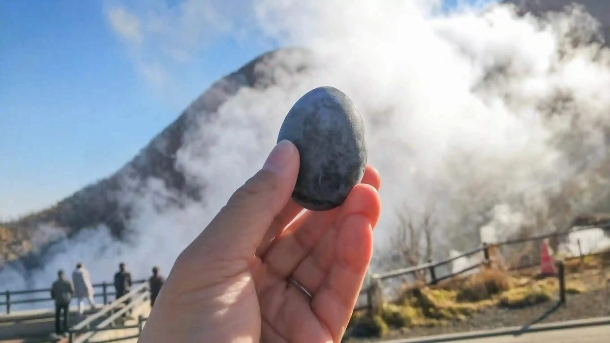 Hakone & Mt Fuji Day Tour: Owakudani & Chureito Pagoda from Tokyo