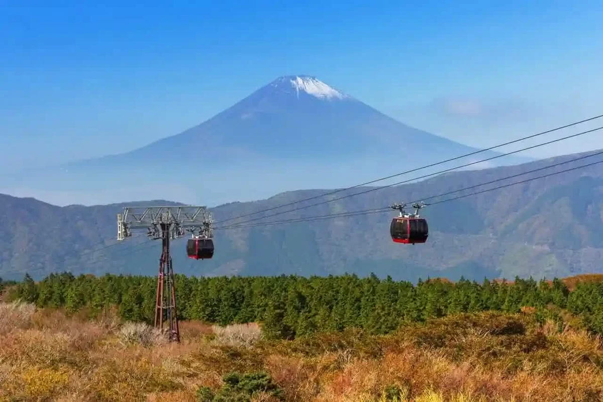 Hakone & Mt Fuji Day Tour: Owakudani & Chureito Pagoda from Tokyo