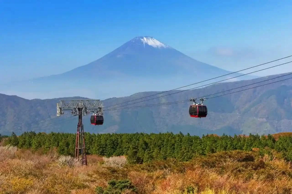 Hakone & Mt Fuji Day Tour: Lake Ashi, Owakudani & Chureito Pagoda from Tokyo