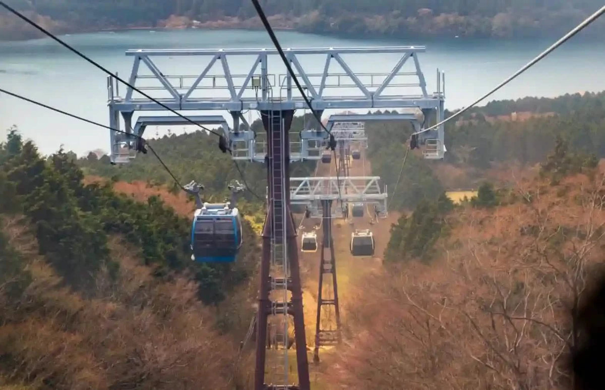 Hakone & Mt Fuji Day Tour: Lake Ashi, Owakudani & Chureito Pagoda from Tokyo